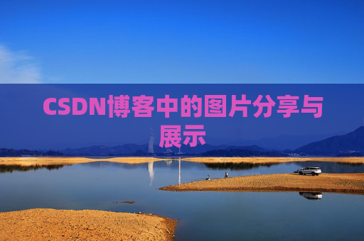 CSDN博客中的图片分享与展示